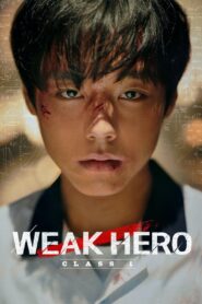 Weak Hero (2025) Season 01 + 02 – Hindi/English/Korean – Full Series Download & Watch FREE – .